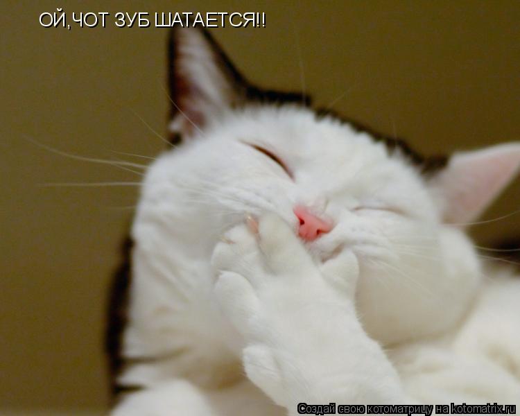 Котоматрица: ОЙ,ЧОТ ЗУБ ШАТАЕТСЯ!!