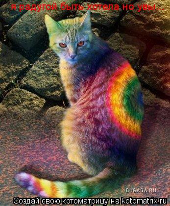 Котоматрица: я радугой быть хотела но увы...