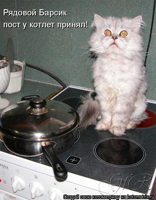 Котоматрица: пост у котлет принял! Рядовой Барсик