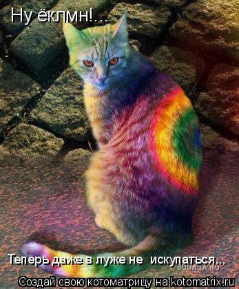 Котоматрица: Ну ёклмн!... Теперь даже в луже не  искупаться...