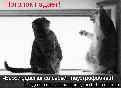 Котоматрица: -Потолок падает! -Барсик,достал со своей клаустрофобией!