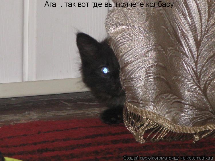 Ага .. так вот где вы прячете колбасу... Котоматрица: Ага .. так вот где вы прячете колбасу