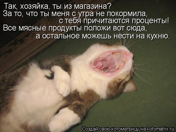 Так, хозяйка, ты из магазина? За то, что ты меня с утра не покормила, с тебя причитаются проценты! Вс... Котоматрица: Так, хозяйка, ты из магазина? За то, что ты меня с утра не покормила, с тебя причитаются проценты! Все мясные продукты положи вот сюда, а остал