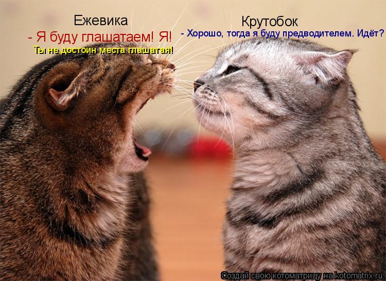 Ежевика Крутобок - Я буду глашатаем! Я! - Хорошо, тогда я буду предводителем. Идёт? Ты не достоин м... Котоматрица: Ежевика Крутобок - Я буду глашатаем! Я! - Хорошо, тогда я буду предводителем. Идёт? Ты не достоин места глашатая!