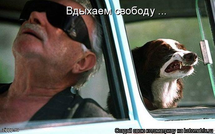 Котоматрица: Вдыхаем свободу ...