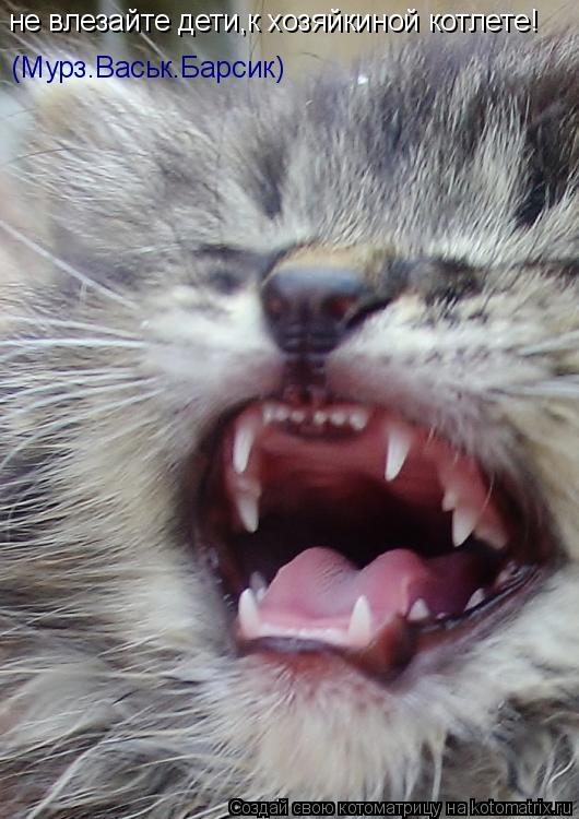 Котоматрица: не влезайте дети,к хозяйкиной котлете! (Мурз.Васьк.Барсик)