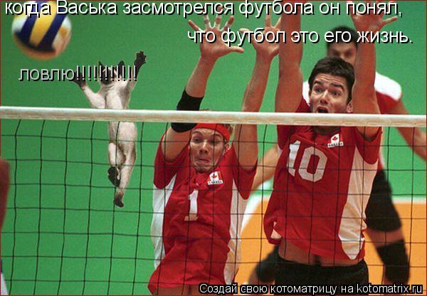 Котоматрица: когда Васька засмотрелся футбола он понял, что футбол это его жизнь. ловлю!!!!!!!!!!!