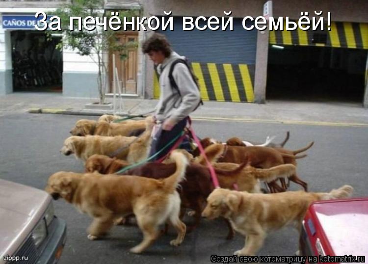 Котоматрица: За печёнкой всей семьёй!