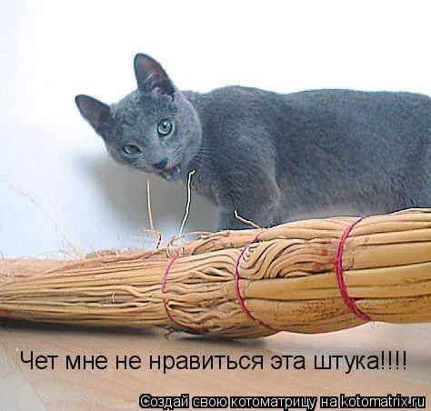 Котоматрица: Чет мне не нравиться эта штука!!!!