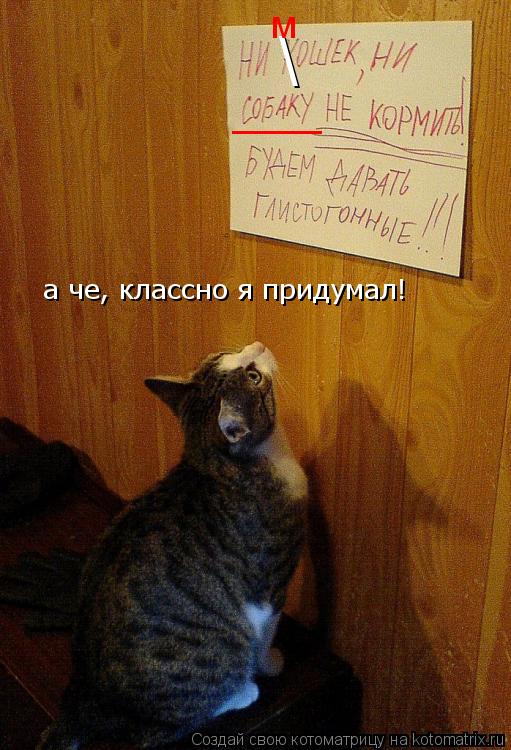 Котоматрица: \ м ____ а че, классно я придумал!