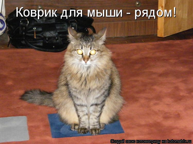 Котоматрица: Коврик для мыши - рядом!