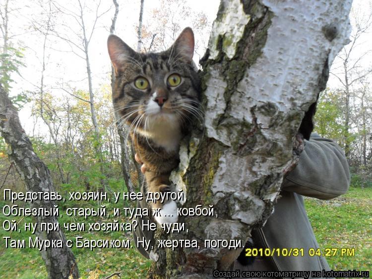 Котоматрица: Представь, хозяин, у нее другой, Облезлый, старый, и туда ж ... ковбой, Ой, ну при чем хозяйка? Не чуди, Там Мурка с Барсиком. Ну, жертва, погоди.