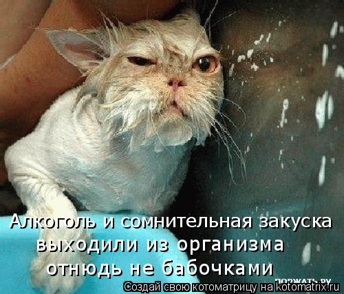 отнюдь не бабочками выходили из организма Алкоголь и сомнительная закуска... Котоматрица: отнюдь не бабочками выходили из организма Алкоголь и сомнительная закуска