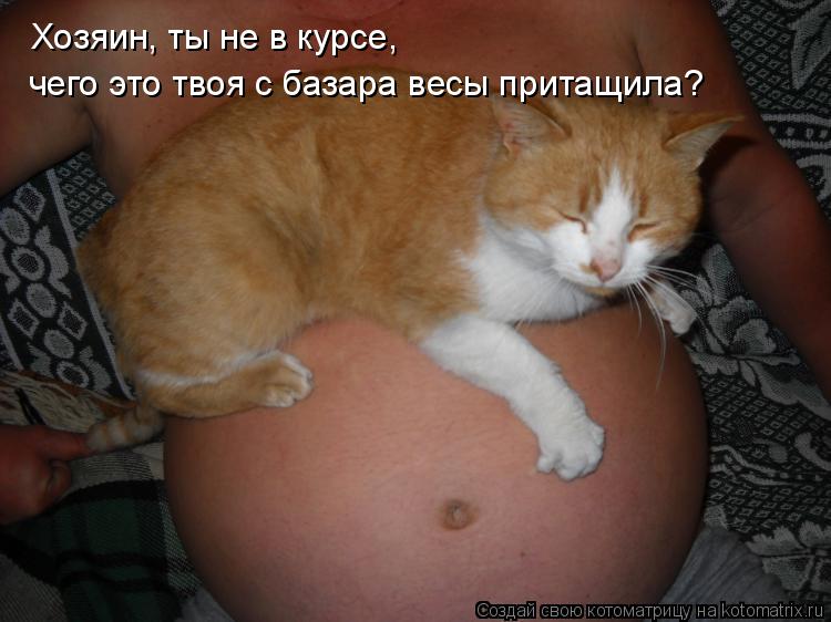 Хозяин, ты не в курсе, чего это твоя с базара весы притащила?... Котоматрица: Хозяин, ты не в курсе, чего это твоя с базара весы притащила?