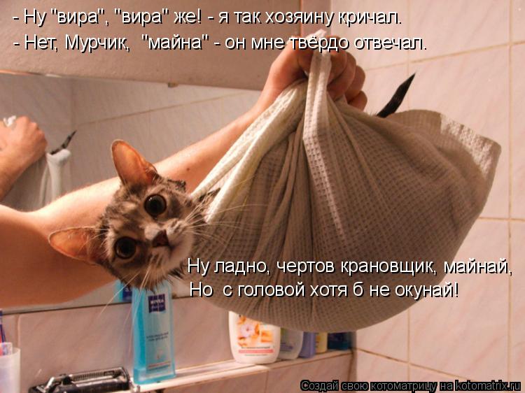 Котоматрица: - Нет, Мурчик,  "майна" - он мне твёрдо отвечал. - Ну "вира", "вира" же! - я так хозяину кричал. Ну ладно, чертов крановщик, майнай, Но  с головой хот