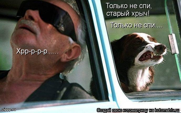 Только не спи, старый хрыч! Только не спи.... Хрр-р-р-р......... Котоматрица: Только не спи, старый хрыч! Только не спи.... Хрр-р-р-р......