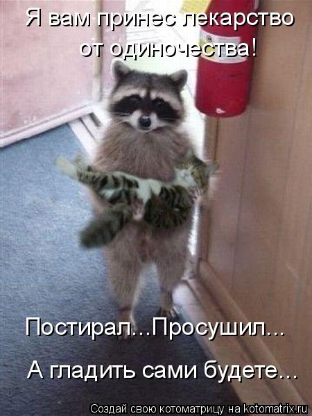 Я вам принес лекарство от одиночества! Постирал...Просушил... А гладить сами будете...... Котоматрица: Я вам принес лекарство от одиночества! Постирал...Просушил... А гладить сами будете...