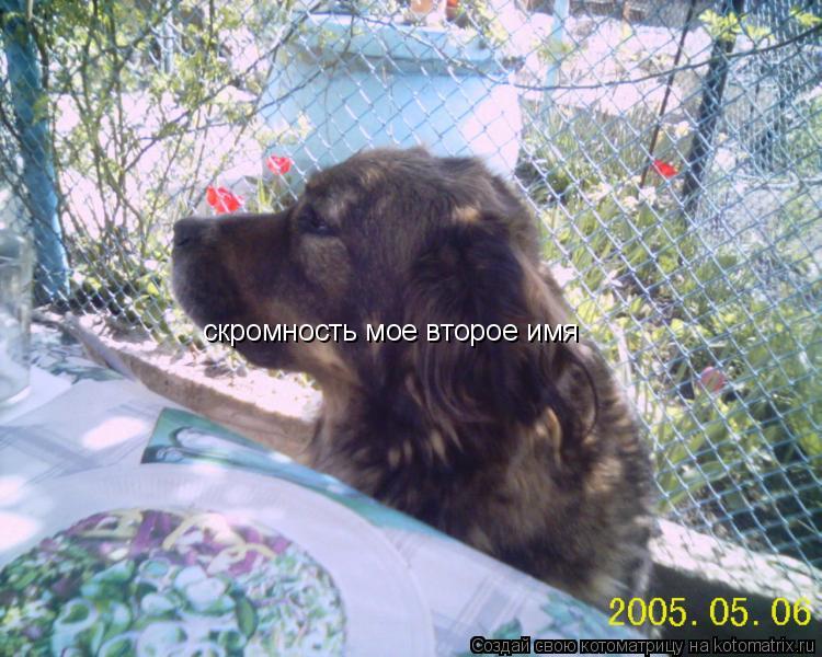 скромность мое второе имя... Котоматрица: скромность мое второе имя