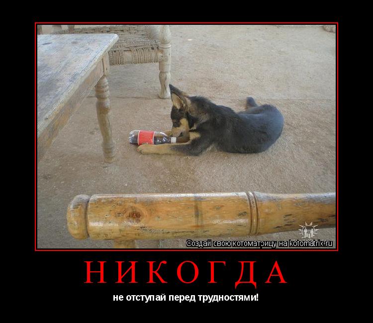 никогда не отступай перед трудностями!... Котоматрица: никогда не отступай перед трудностями!