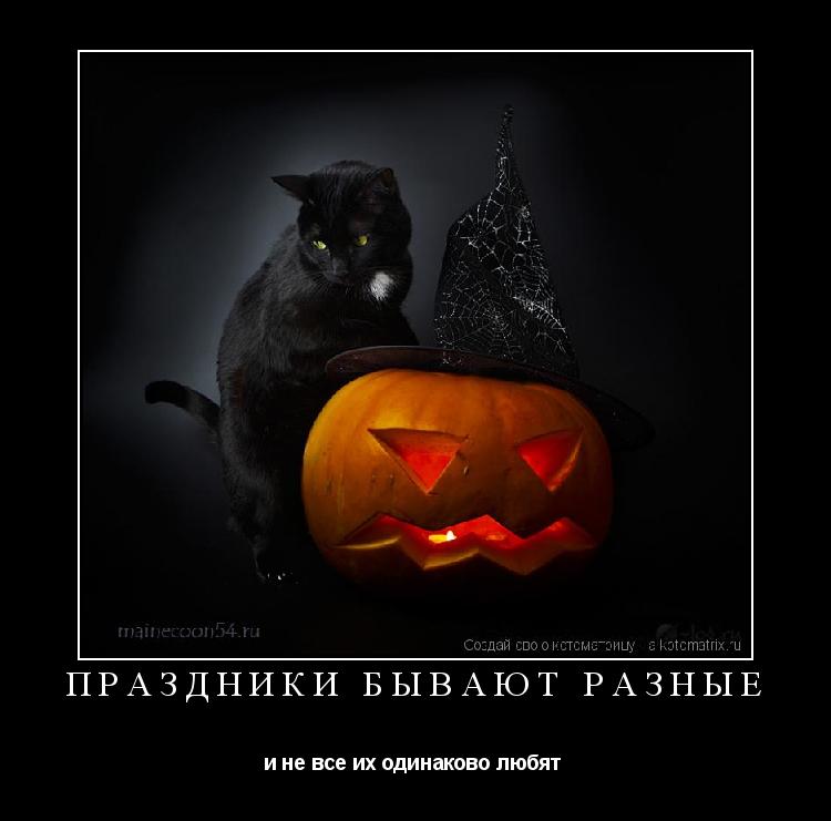 Праздники бывают разные и не все их одинаково любят ... Котоматрица: Праздники бывают разные и не все их одинаково любят