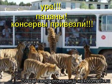 ура!!! пацаны! консервы привезли!!!... Котоматрица: ура!!! пацаны! консервы привезли!!!
