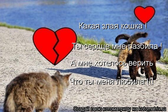 Какая злая кошка ! Ты сердце мне разбила ! А мне хотелось верить Что ты меня любила !!!... Котоматрица: Какая злая кошка ! Ты сердце мне разбила ! А мне хотелось верить Что ты меня любила !!!