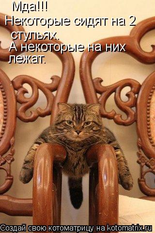 стульях. Мда!!! Некоторые сидят на 2 А некоторые на них лежат.... Котоматрица: стульях. Мда!!! Некоторые сидят на 2 А некоторые на них лежат.
