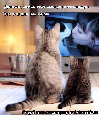 Дальше, сынок тебе смотреть не следует. Это уже для взрослых.... Котоматрица: Дальше, сынок тебе смотреть не следует. Это уже для взрослых.