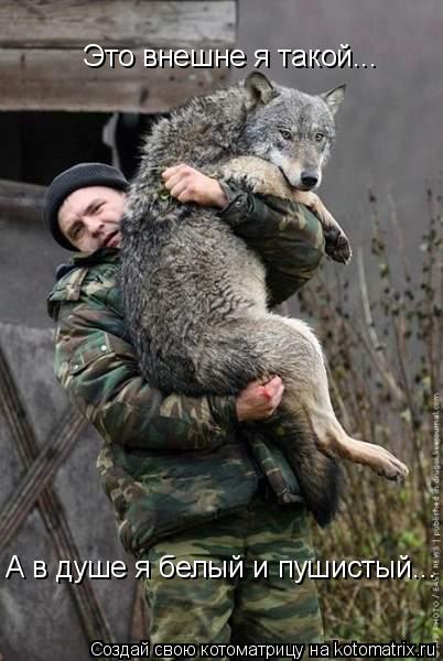 Это внешне я такой... А в душе я белый и пушистый... :-)... Котоматрица: Это внешне я такой... А в душе я белый и пушистый... :-)