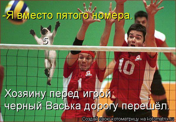 -Я вместо пятого номера. Хозяину перед игрой черный Васька дорогу перешёл. 5... Котоматрица: -Я вместо пятого номера. Хозяину перед игрой черный Васька дорогу перешёл. 5