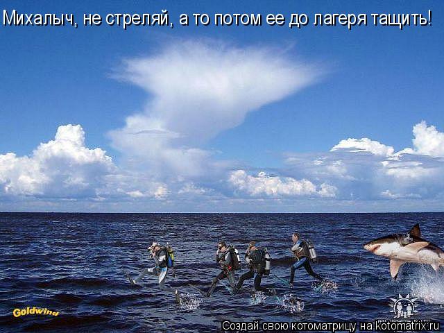 Михалыч, не стреляй, а то потом ее до лагеря тащить!... Котоматрица: Михалыч, не стреляй, а то потом ее до лагеря тащить!