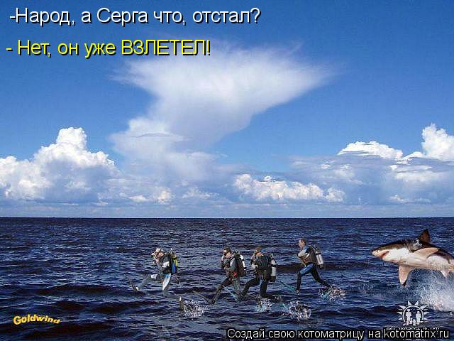-Народ, а Серга что, отстал? - Нет, он уже ВЗЛЕТЕЛ!... Котоматрица: -Народ, а Серга что, отстал? - Нет, он уже ВЗЛЕТЕЛ!