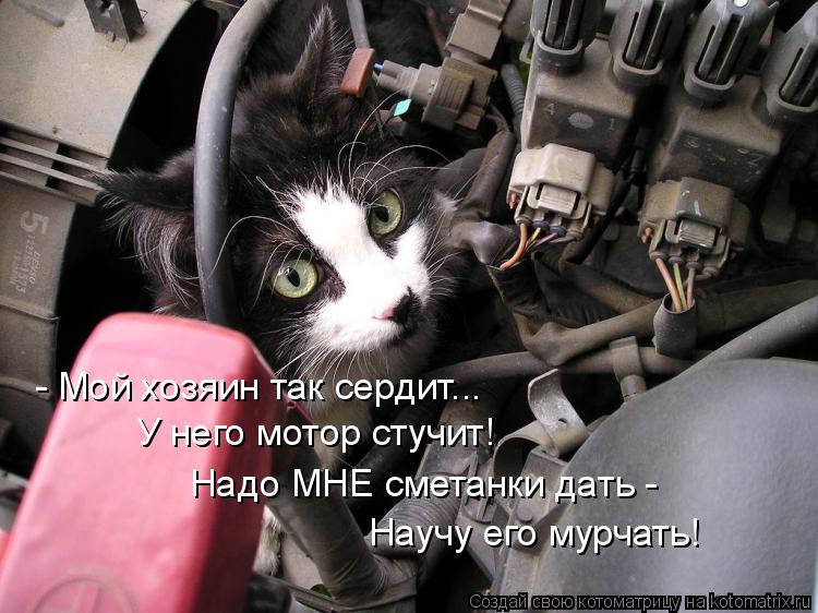 - Мой хозяин так сердит... У него мотор стучит! Надо МНЕ сметанки дать - Научу его мурчать!... Котоматрица: - Мой хозяин так сердит... У него мотор стучит! Надо МНЕ сметанки дать - Научу его мурчать!
