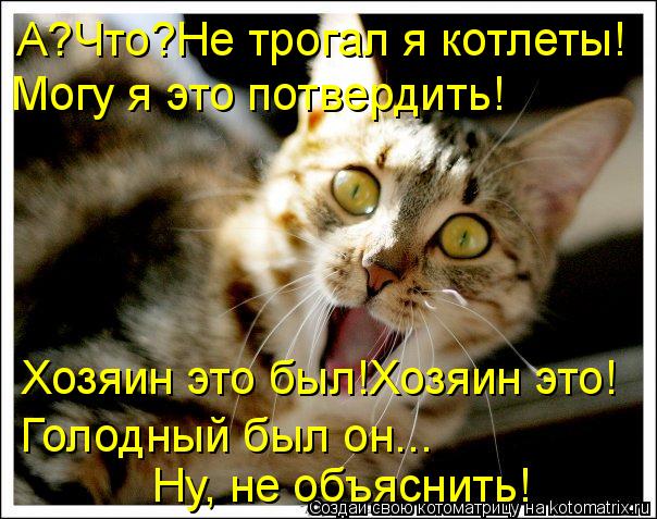 А?Что?Не трогал я котлеты! Могу я это потвердить! Хозяин это был!Хозяин это! Голодный был он... Ну, н... Котоматрица: А?Что?Не трогал я котлеты! Могу я это потвердить! Хозяин это был!Хозяин это! Голодный был он... Ну, не объяснить!