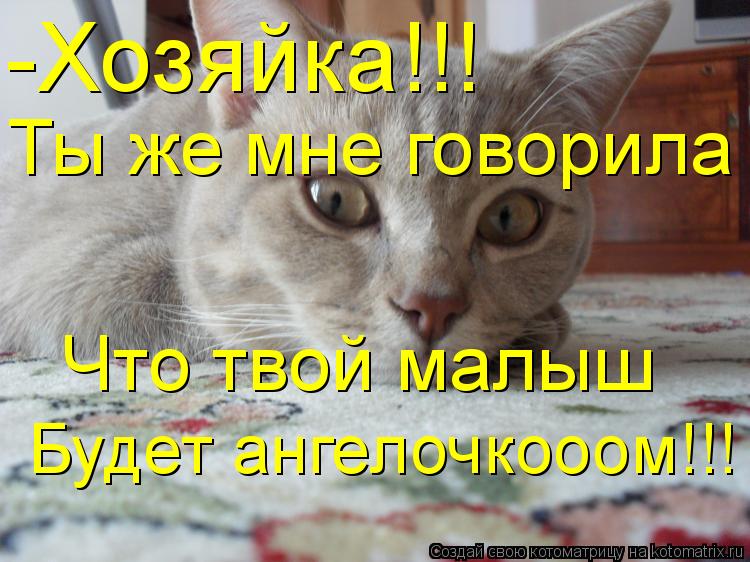 -Хозяйка!!! Ты же мне говорила Что твой малыш Будет ангелочкооом!!!... Котоматрица: -Хозяйка!!! Ты же мне говорила Что твой малыш Будет ангелочкооом!!!