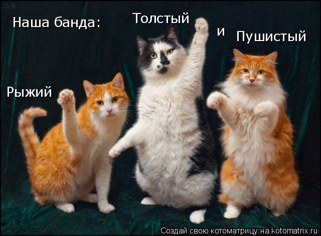 Рыжий Толстый и Пушистый Наша банда:... Котоматрица: Рыжий Толстый и Пушистый Наша банда: