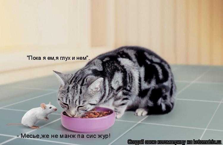 - Месье,же не манж па сис жур! "Пока я ем,я глух и нем".... Котоматрица: - Месье,же не манж па сис жур! "Пока я ем,я глух и нем".