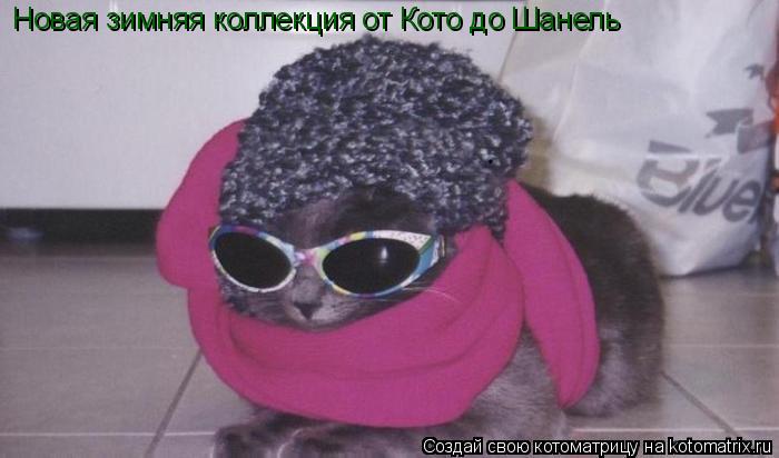 Новая зимняя коллекция от Кото до Шанель... Котоматрица: Новая зимняя коллекция от Кото до Шанель