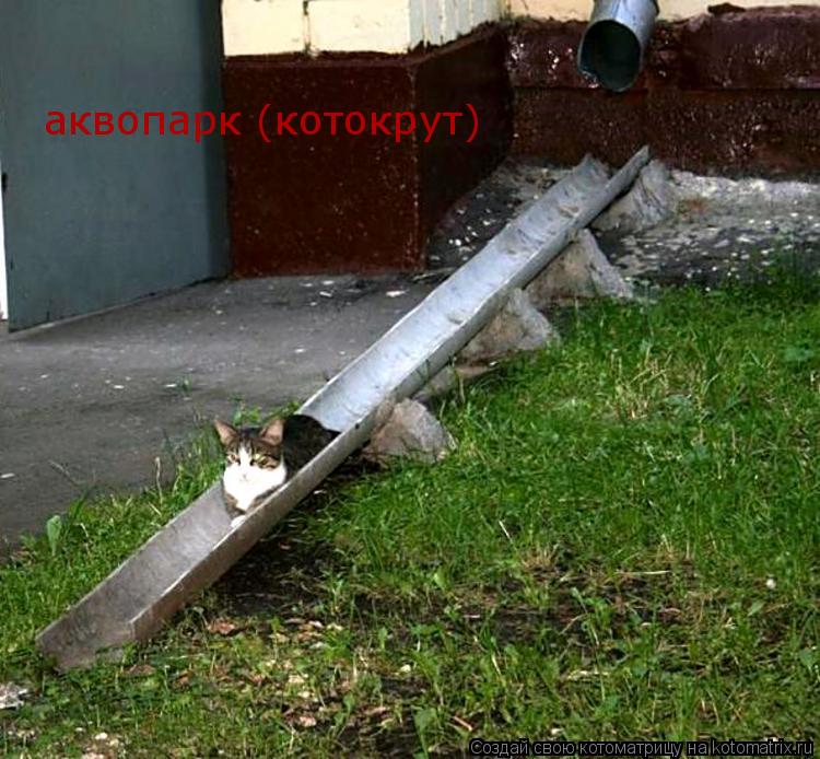 аквопарк (котокрут)... Котоматрица: аквопарк (котокрут)