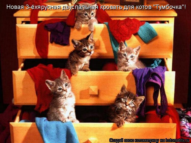 Новая 3-ёхярусная двуспальная кровать для котов "Тумбочка"!... Котоматрица: Новая 3-ёхярусная двуспальная кровать для котов "Тумбочка"!