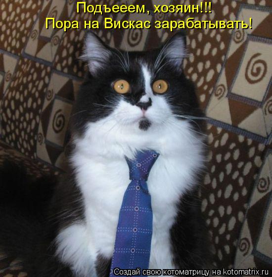 Подъееем, хозяин!!! Пора на Вискас зарабатывать!... Котоматрица: Подъееем, хозяин!!! Пора на Вискас зарабатывать!