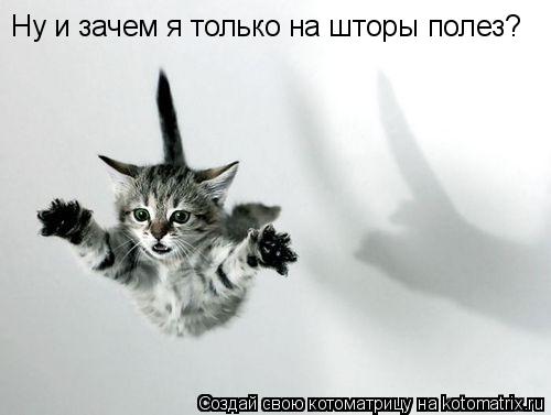 Ну и зачем я только на шторы полез?... Котоматрица: Ну и зачем я только на шторы полез?
