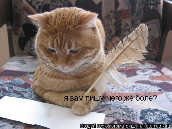 я вам пишу, чего же боле?... Котоматрица: я вам пишу, чего же боле?