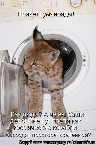 Привет гуманоиды! Как люди? А че вы ваши детки мне тут плели как космические корабли бороздят просто... Котоматрица: Привет гуманоиды! Как люди? А че вы ваши детки мне тут плели как космические корабли бороздят просторы вселенной?