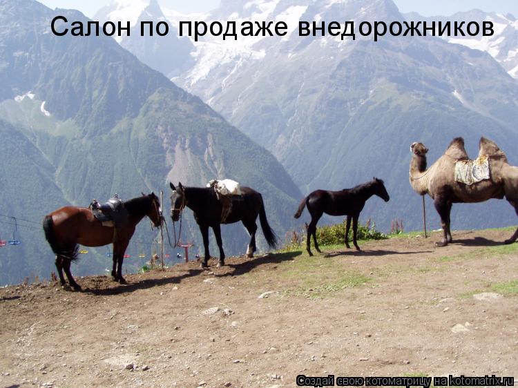 Салон по продаже внедорожников... Котоматрица: Салон по продаже внедорожников