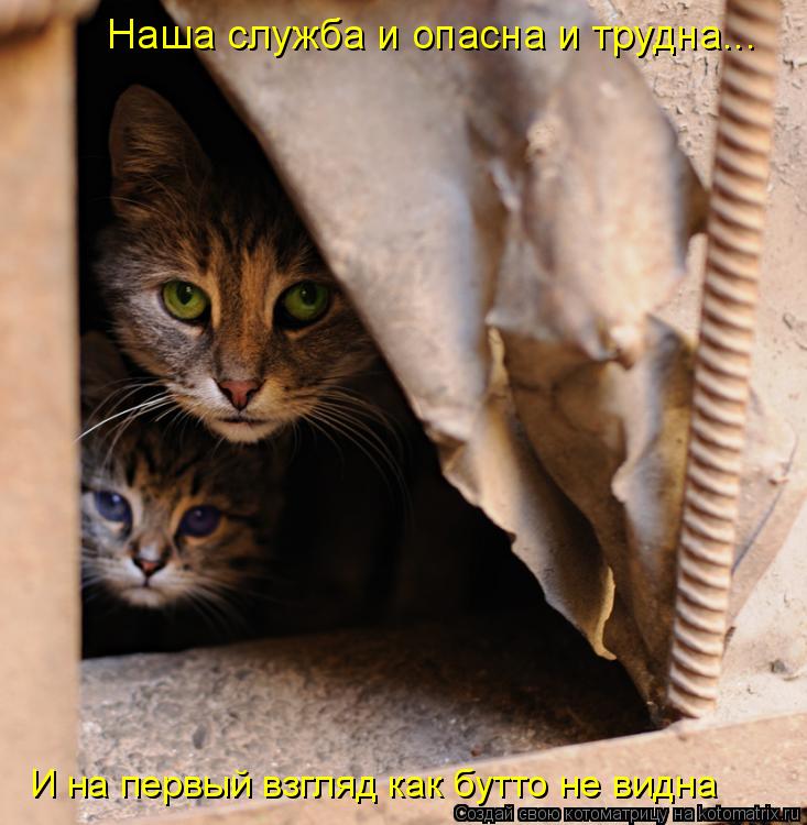 Наша служба и опасна и трудна... И на первый взгляд как бутто не видна... Котоматрица: Наша служба и опасна и трудна... И на первый взгляд как бутто не видна