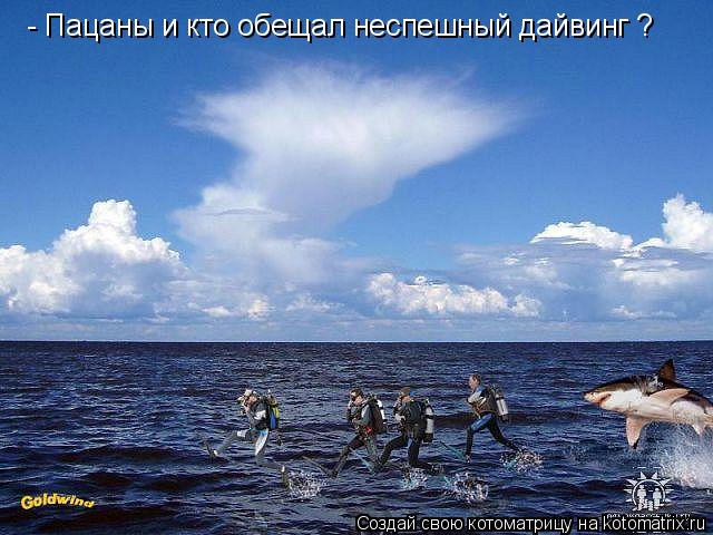 Котоматрица: - Пацаны и кто обещал неспешный дайвинг ?