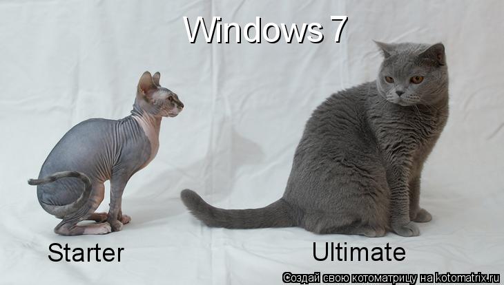 Котоматрица: Windows Starter Ultimate 7