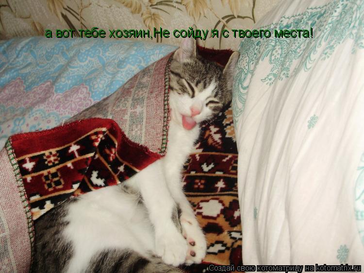 Котоматрица: а вот тебе хозяин,Не сойду я с твоего места!