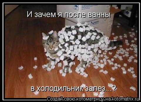 Котоматрица: И зачем я после ванны в холодильник залез...?